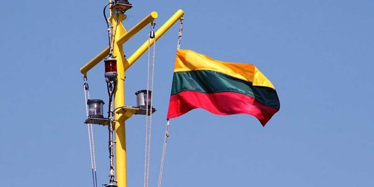 «Это только первый звоночек»: как «задвинули» выступление Литвы по украинскому вопросу в Совбезе ООН