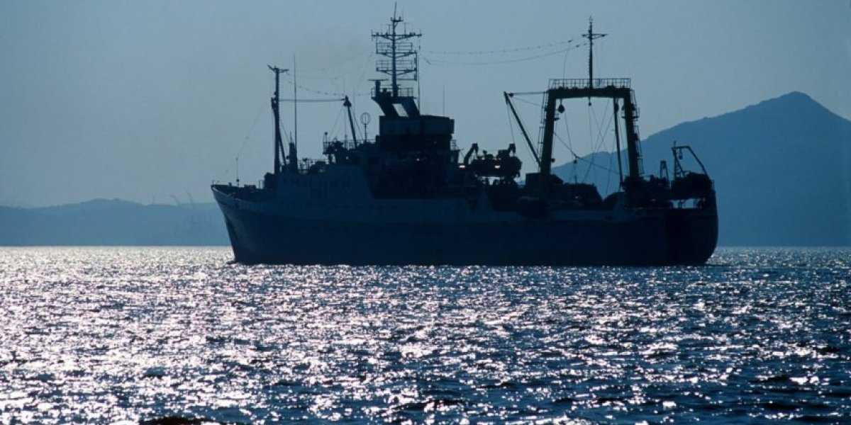 Мы им – море для прокорма. Они нам санкции, а Украине – оружие. Чиновники ради прибыльного бизнеса сдают Россию даже на четвертый год войны?