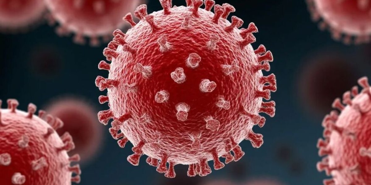 Природа контратакует: пять самых опасных вирусов Природа контратакует: пять самых опасных вирусов