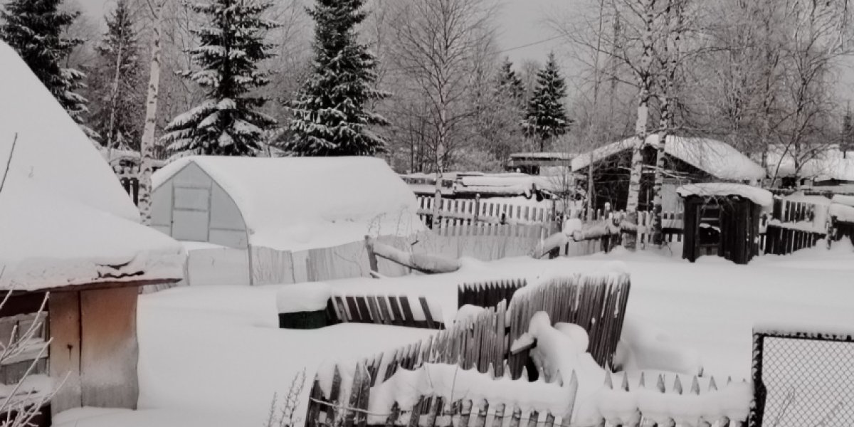 Февраль без сюрпризов: последний месяц зимы обещает быть спокойным Февраль без сюрпризов: последний месяц зимы обещает быть спокойным