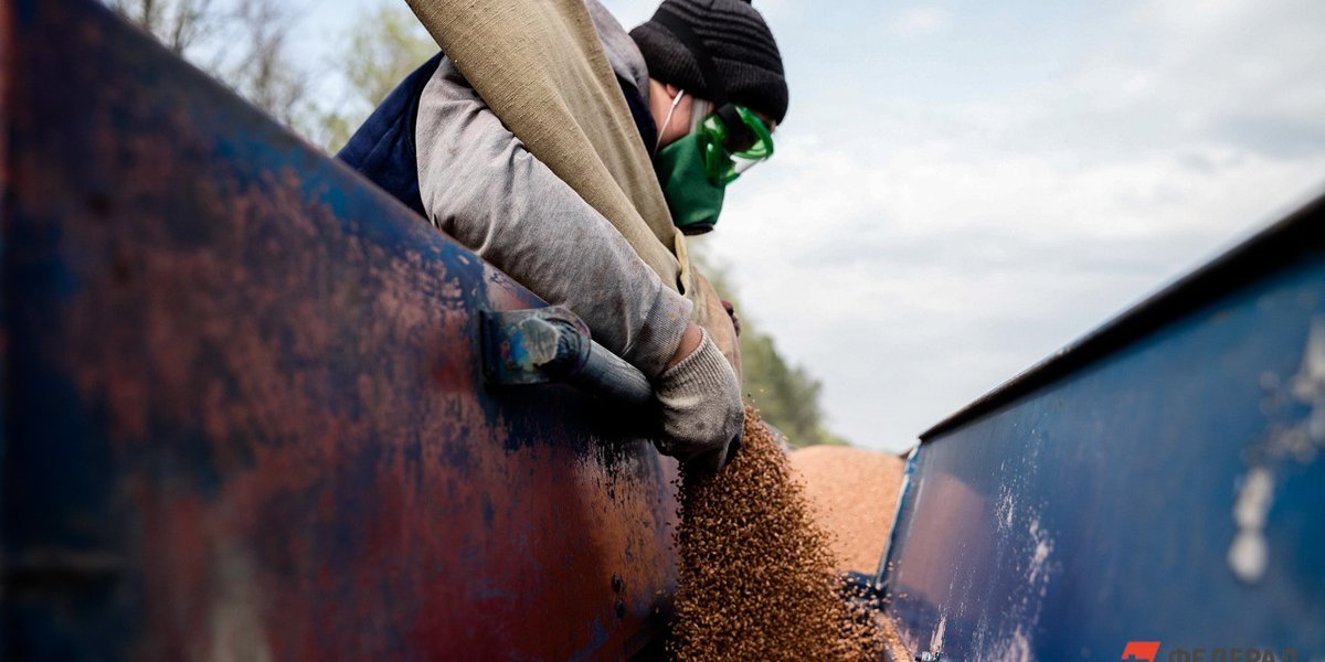 Италия в ярости: EC заменил российское зерно на украинское и поплатился за это Италия в ярости: EC заменил российское зерно на украинское и поплатился за это